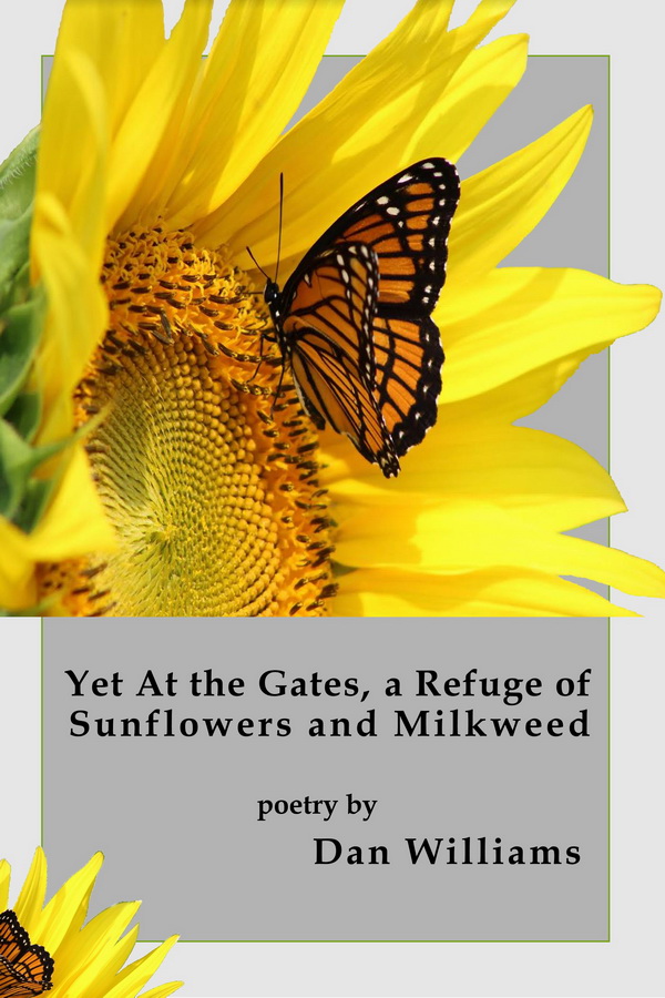 Book Cover of